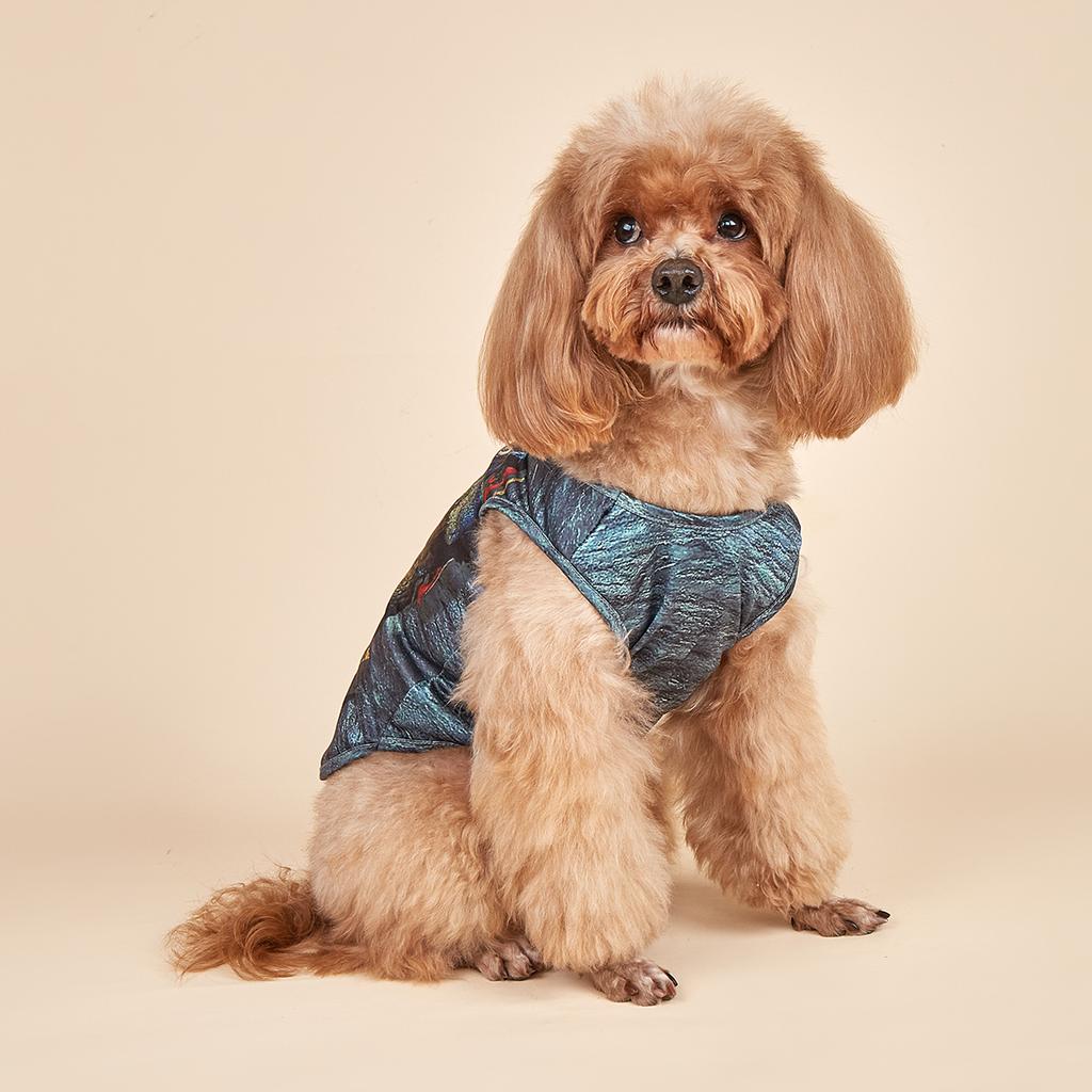 Dog Shirts 3D printed, Cool Dinosaur Pattern Printed Vest for Small Dogs Costume Dog Pajamas Puppy Gift Pet Clothes