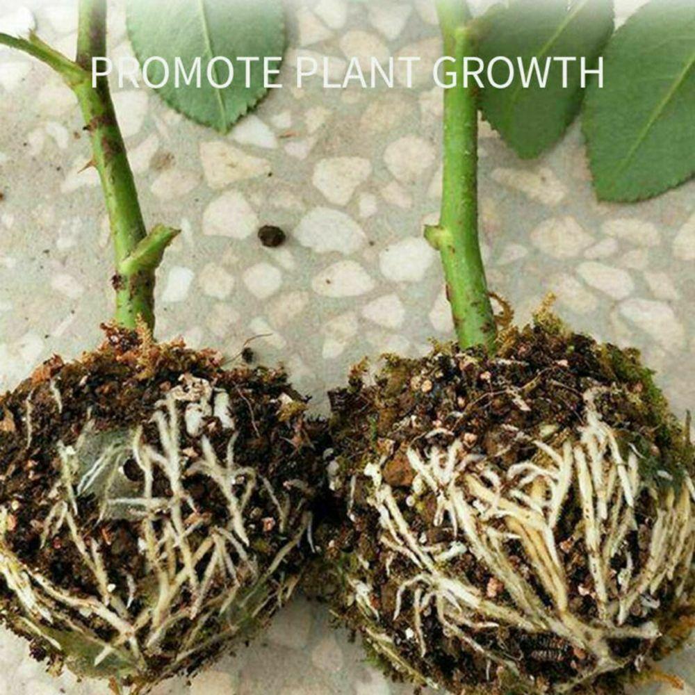 Propagation Ball Botany Root Controller Plastic Breeding Case Grafted Tree Rooting Ball Growing Box Seedling Cultivation Ball