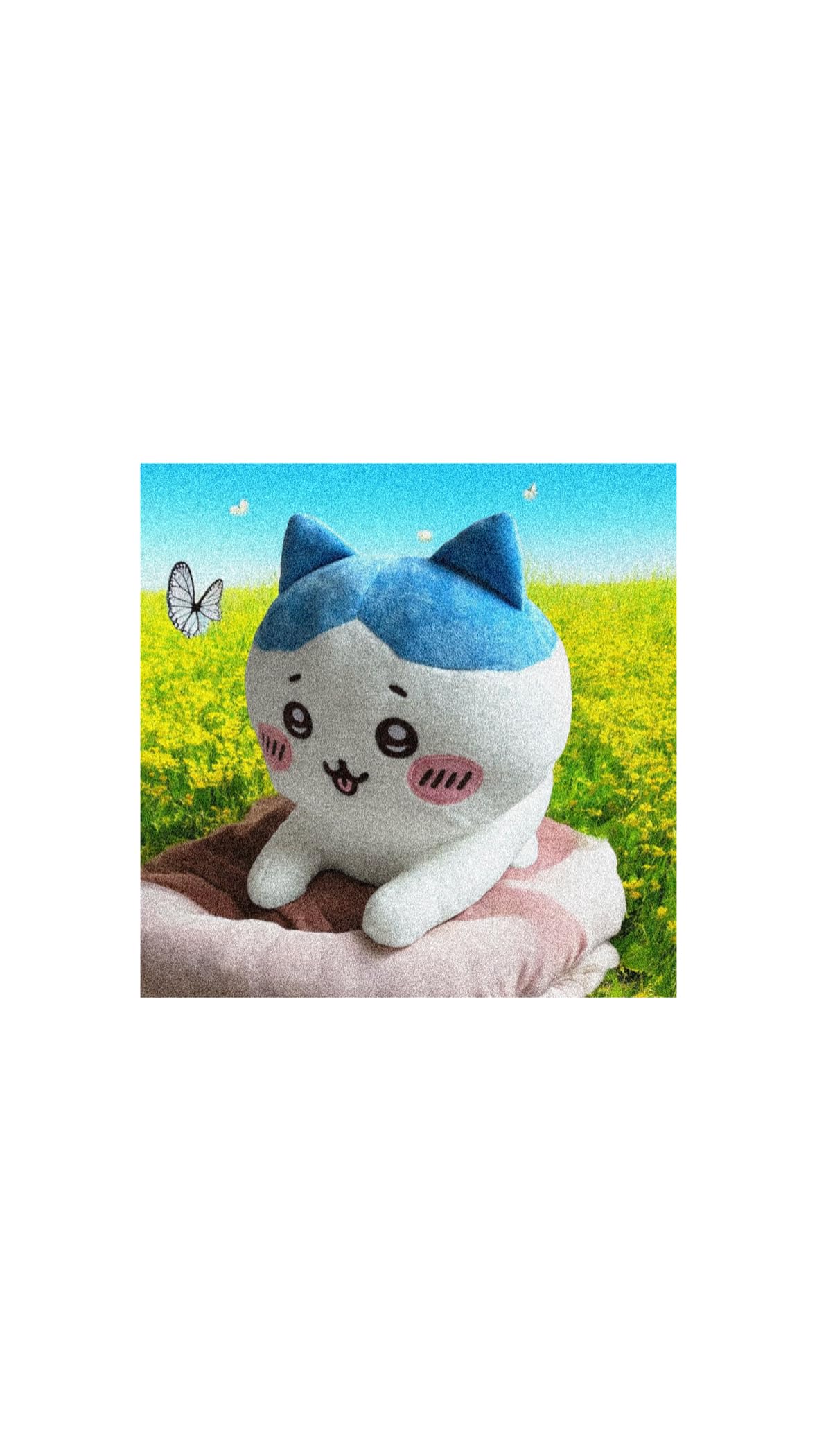 

Sphinx Hachiwa Big Official Plush Toy
