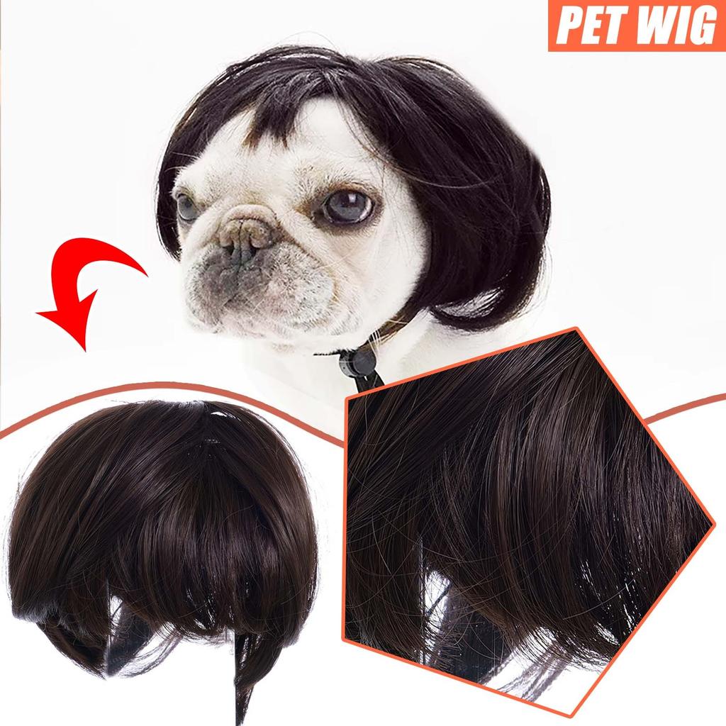 Pet Cat Dog Funny Show MOE Wig Explosives Head With Fringe Small Braids Wig
