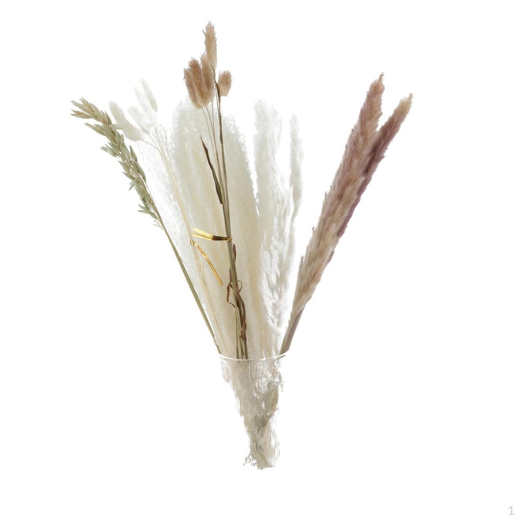 30-Piece Handpicked Dried Grass Bundle - Decor Collection