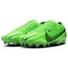 Nike Air Zoom Vapor 15 AG Round Toe Lace-Up Football Boots with Rubber Studs, Durable and Breathable Men Sneaker Green FJ7198-300