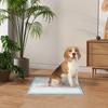 Set of 80 6-Layer Non-Woven, Paper, and PE Dog Toilet Pads, 60x60 cm, Blue and White