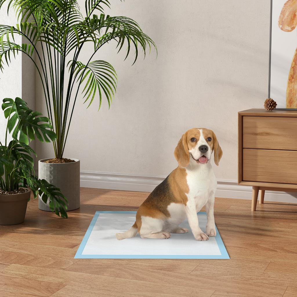 Set of 80 6-Layer Non-Woven, Paper, and PE Dog Toilet Pads, 60x60 cm, Blue and White