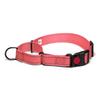 Adjustable Pet Dog Collars Safety Lock On Nylon Golden Retriever Neck Leash Accessories Outdoor 2 in 1 P Chain Pet Supplies
