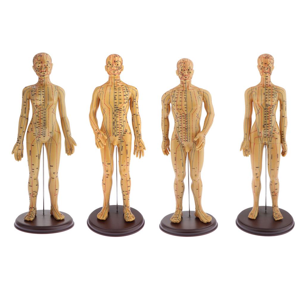 Figure, Male / Full Body