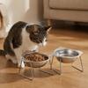 Stainless Steel Raised Cat Bowls Monkey-shaped 15 Degree Inclined Elevated Pet Bowl with Stand Anti-flip Pet Feeder Container