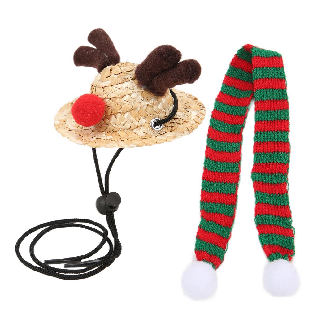 Bartagame Weihnachtsmannmütze Schal Reptil Verstellbar Stroh Elch Hut und Schal Weihnachtskostüm für