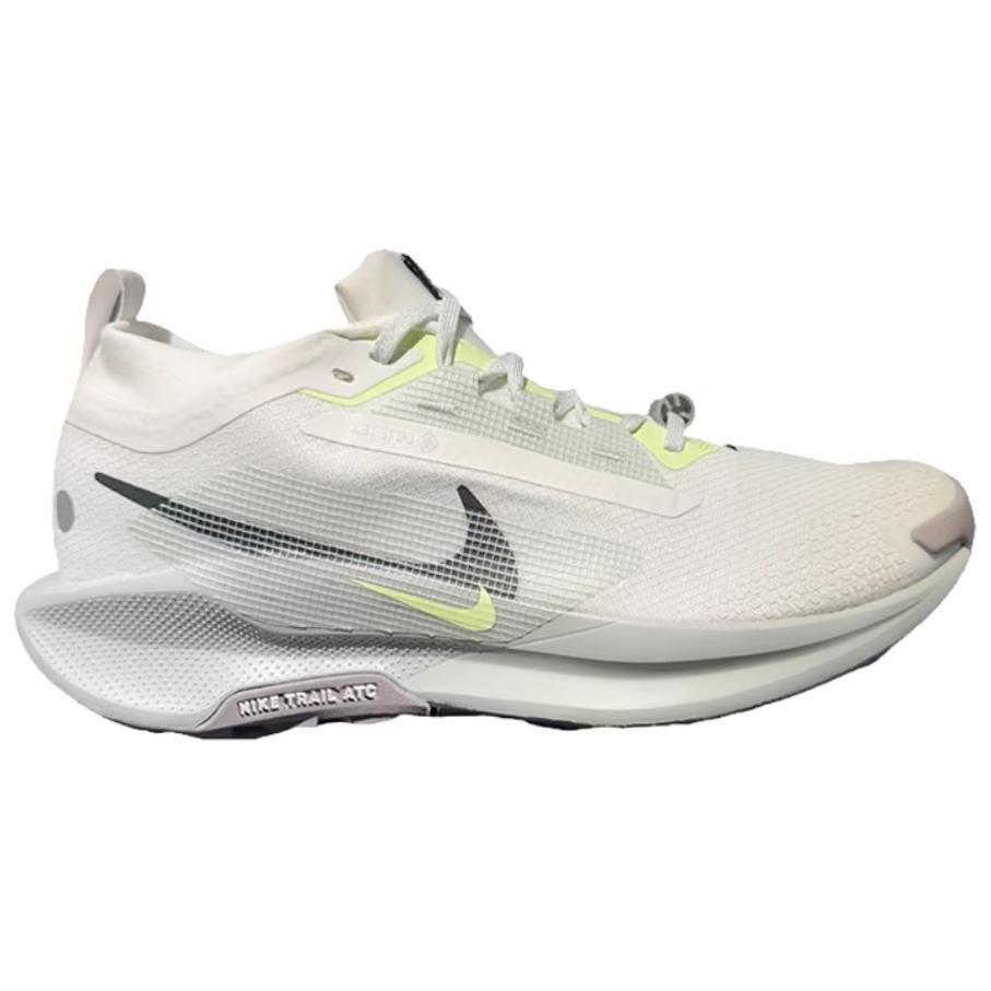 Nike Pegasus Trail 5 Gore Tex Summit White Light Silver College Grey Sequoia Sneakers FQ0908-102