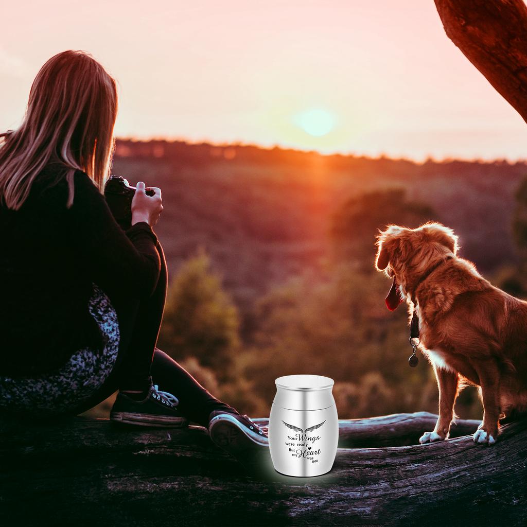 Kleine Kremationsurne für Tierasche Haustier-Erinnerungsurne Edelstahl Gedenk-Erinnerungsurnen für Hunde Katzen Aschenbehälter