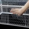 1PC Iron Trap Racing Birds Pigeon Jumping Cage Deodorant Cage Door Bailing Wire Birdcage Entrance House Bird