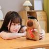 Graduation Capybara Plush Dolls Soft Capybara Pillow Ornaments Home Car Interior Decoration Toy Novelty Auto Accessories