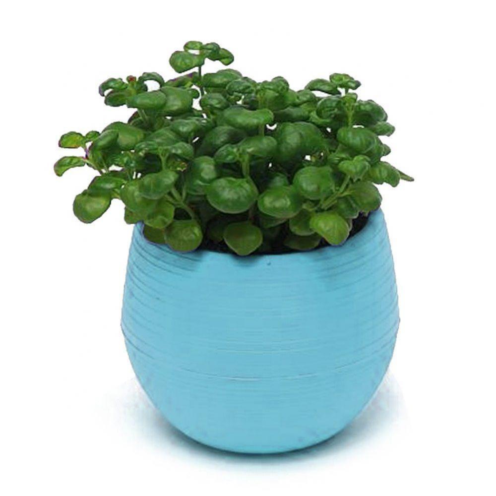 2 Layer Drain Hole Succulent Pot Mini Flower Pot Desk Green Plant Flowerpot Nursery Pots Home Garden Decoration Planters