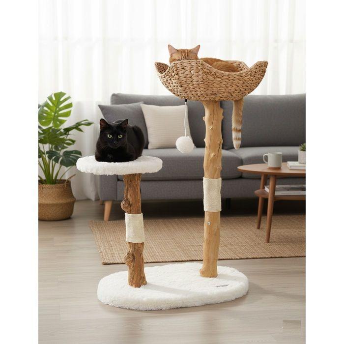 Arbre à chat - EDEN - Fidel - Bois de caféier - Corde en jute - Panier supérieur rembourré