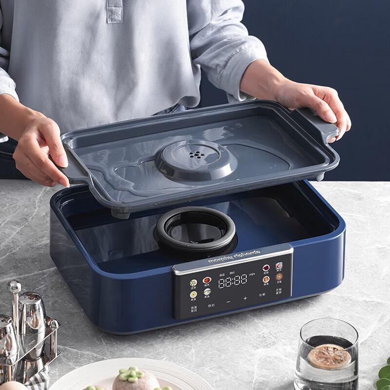 Morphy Richards MR1158 Multifunctionele Elektrische Stomer