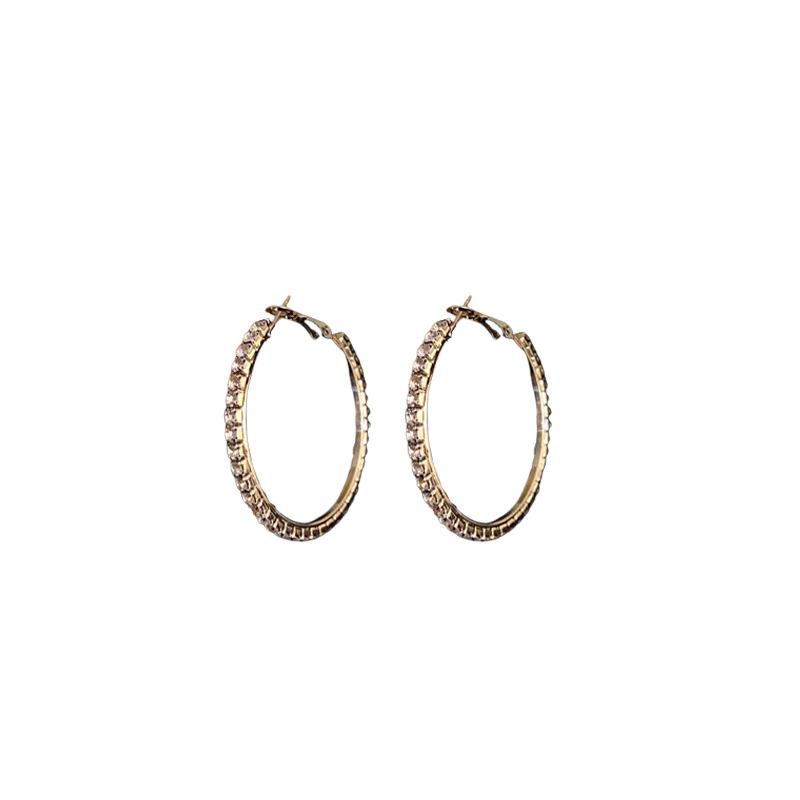 Silver Needle Diamond Round Earrings Exaggerated High-end Design Ins Earrings Niche Light Luxury Temperament New Earrings Women