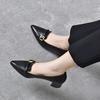 Pointed High Heels Women's Shoes Spring New Belt Buckle Small Single Shoes Elegant Middle Heel Work Shoes
