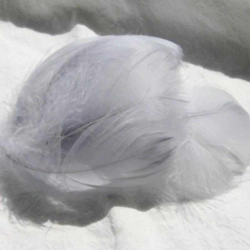 100pcs Goose Feathers for Crafts 4-8cm Swan Plumes Wedding Party Handicraft Accessories Decoration Dream Catcher Feathers