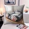 Cute Tabby Cat Pet Bed Pillow Cover 2D Visual Print Adorable Kitten Cushion Case For Sofa Bed Couch Cozy Cat Lover Home Decor