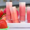 Clio chiffon blur tint