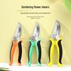 Multifunctional Stainless Steel Pruning Shears for Gardening, Grafting, and Flower Branches