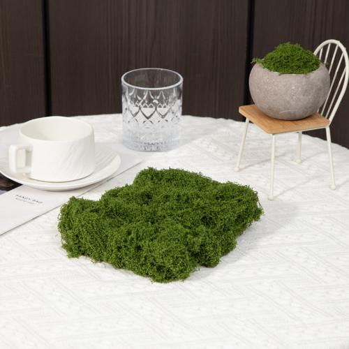 

Artificial Green Plants Landscape Mini Eternal Life Moss Grass Fake Grass Garden Living Room Home Decoration DIY Crafts