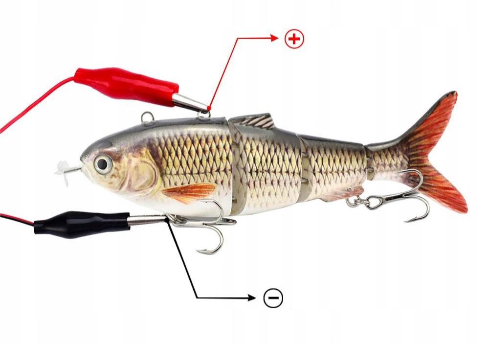 Electric Live Bait Fishing Bait Pike 05