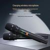 SAST WD-50 Portable KTV Speaker with 21-inch Display CN plug (adapter included)