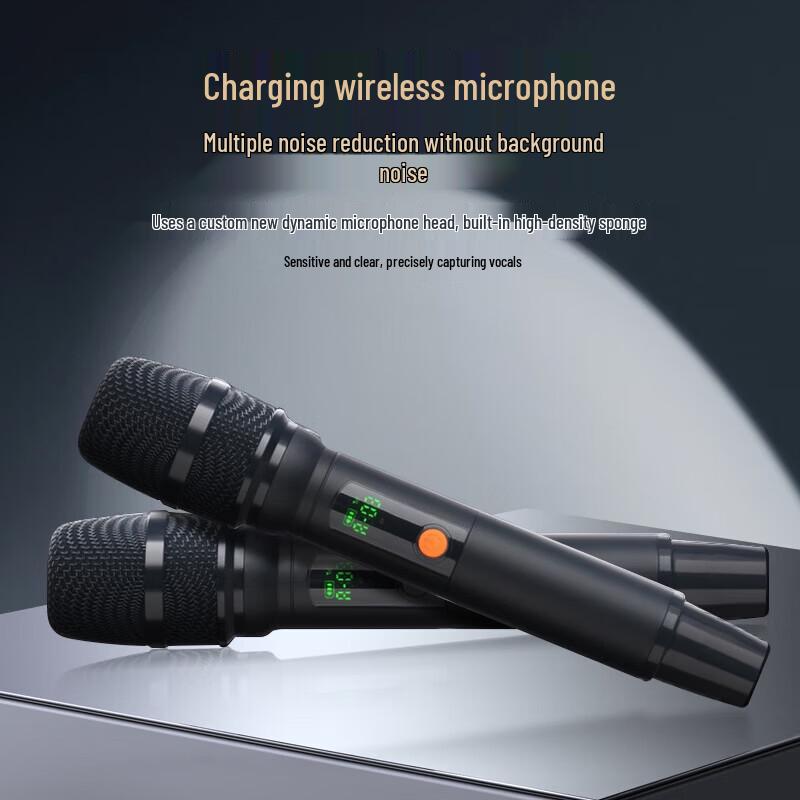 SAST WD-50 Portable KTV Speaker with 21-inch Display CN plug (adapter included)