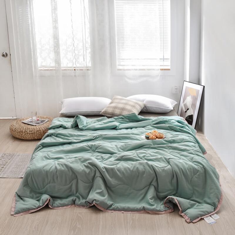 

Suimian Mugwort Fiber Summer Quilt