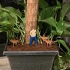 Potted Wooden Mini Insert Plaque Family Patio Home Planter Decoration