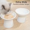 2 Elevated Ceramic Cat Bowls Extra Wide for Food Water Whisker Fatigue Shallow Food Dish Lead CadmiumFree Raised Height for Cat