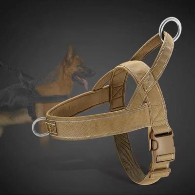Hunde – Hundehalsbänder & Leinen