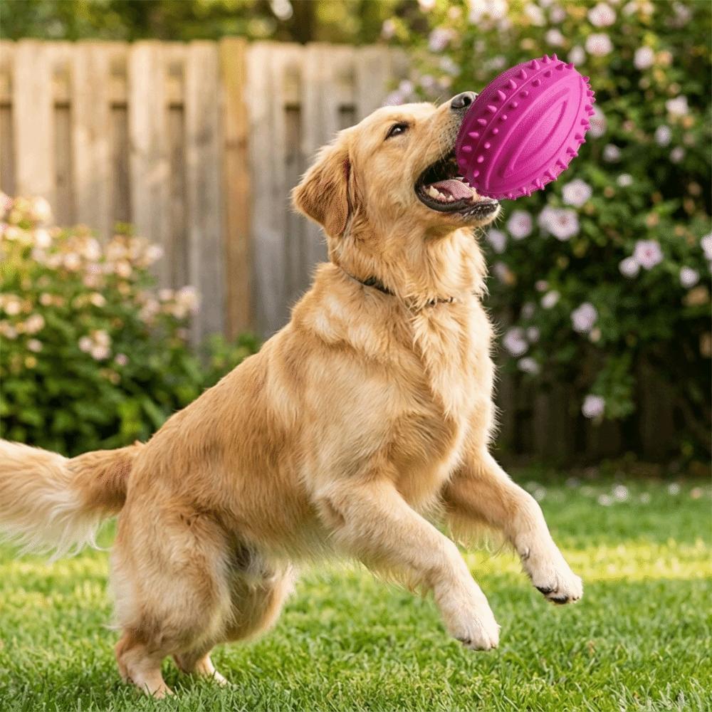 Rugby Shaped Dog Rugby Toy Tpr Dog Molar Toy Puppy Training Dog Chew Toy Small Medium Large Dogs