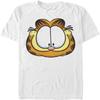 Nickelodeon Men's Tall Garfield Big Face T-Shirt