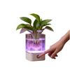 Farbwechselnde USB-betriebene Lampe Dimmbares LED-Umgebungslicht Mini-Aquariumlicht Geburtstagsgeschenk