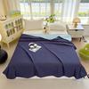 2025 New Cool Silk Summer Air Conditioner Quilt Summer Cool Quilt Student Dormitory Thin Cover Quilt Machine Washable