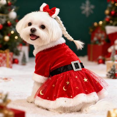 Robe Festive pour Chien Costume Père Noël Jupe en Maille Rouge Noël Tissu Velours Or Vêtements pour Animaux de Compagnie Fête Anniversaire Nouvel An Déguisement