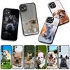 Phone Cover Pet Lovely France Bulldog Dog Casing for Xiaomi Redmi Note 15 11 9 10 Pro Plus A5 9A 9T 10A 10C 9C NFC 15C 8T Case