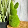 6.69inch Standing Moss Rabbit, Easter Garden Decoration, Indoor Potted Plant Decor, Moss Rabbit Ornament, Tabletop