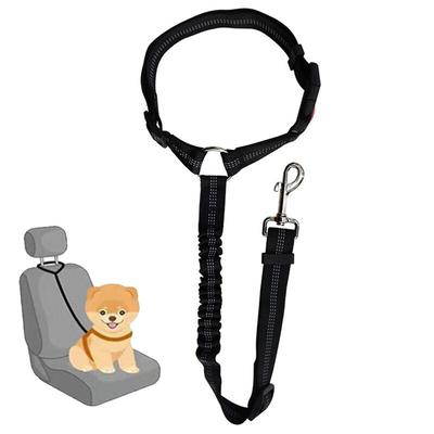 Psy – Obroże i smycze dla psów