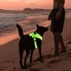 Polstret hundevest Glødende Lysende LED Blinkende Kjæledyrsele Grønn Nylon Praktisk