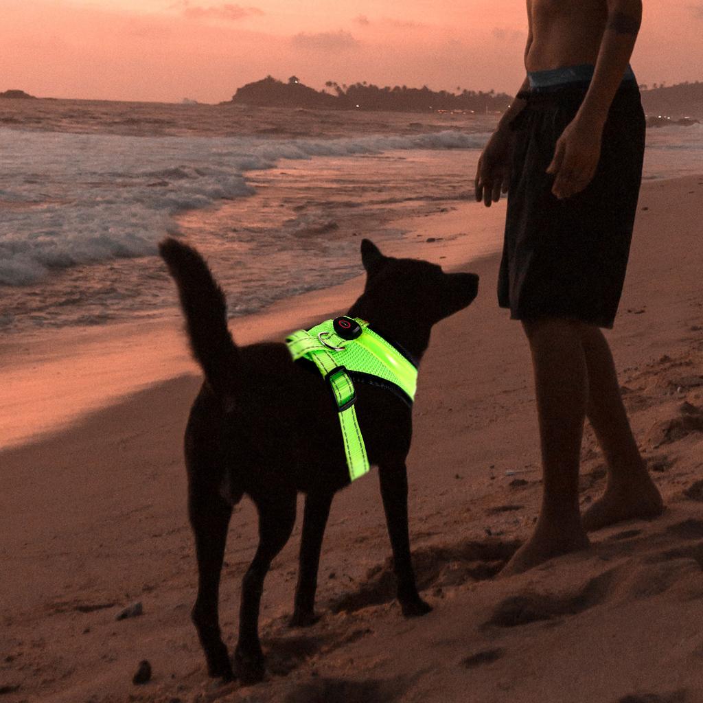 Polstret hundevest Glødende Lysende LED Blinkende Kjæledyrsele Grønn Nylon Praktisk