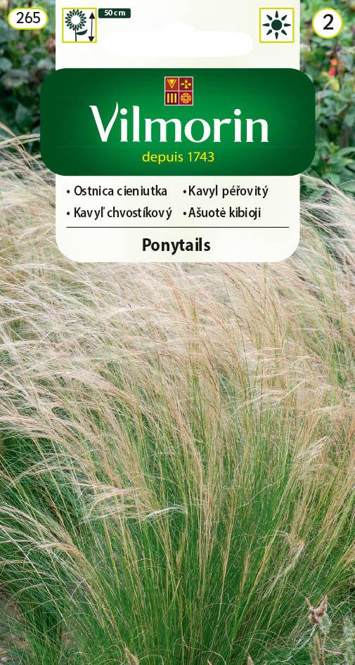 Thin Stipa Seeds 0.1g - VILMORIN