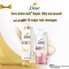 DOVE Amino Acid Hair Care Collection