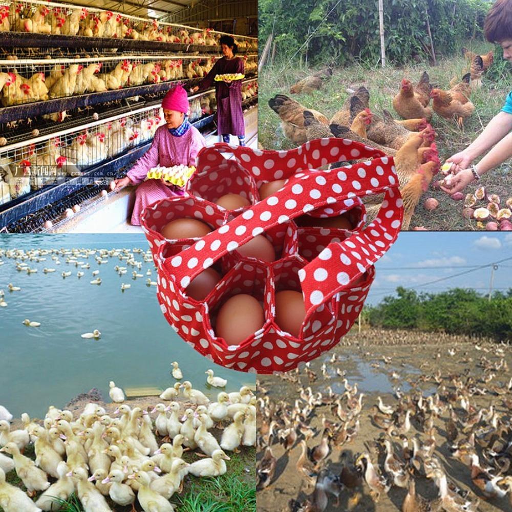 Canvas Portable Egg Collector Egg Bag Fresh Egg Storage Container Egg Basket with 9 Pouches Farms