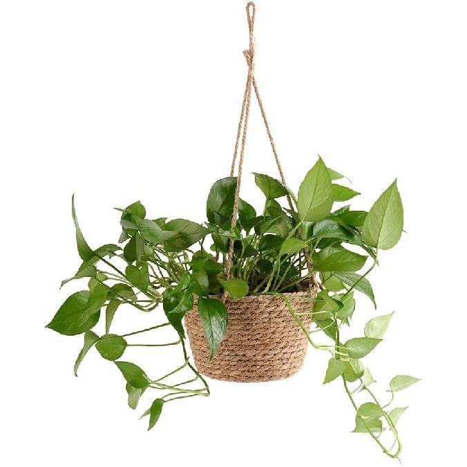 WYSRJ 8inch Jute Rope Hanging Planter Woven Plant Basket Macrame Plant Hangers Plant Holder Basket Decorative Storage Baskets for Plants Pots Home