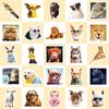 50 Animal Collection Stickers Temu New Product Crazy Zoo City Stickers