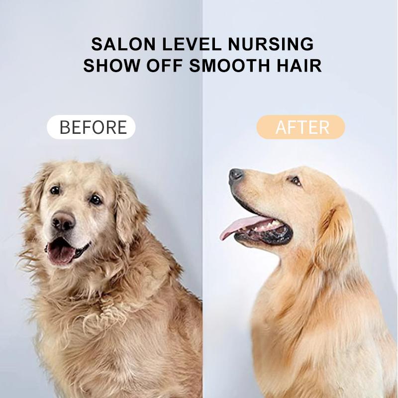 Pet Grooming Dryer 6 in 1 Dog Cat Hair Removal Comb Massage Spray Brush 300W Hot Air Comb Pet Hair Dryer 3-speed Adjustable