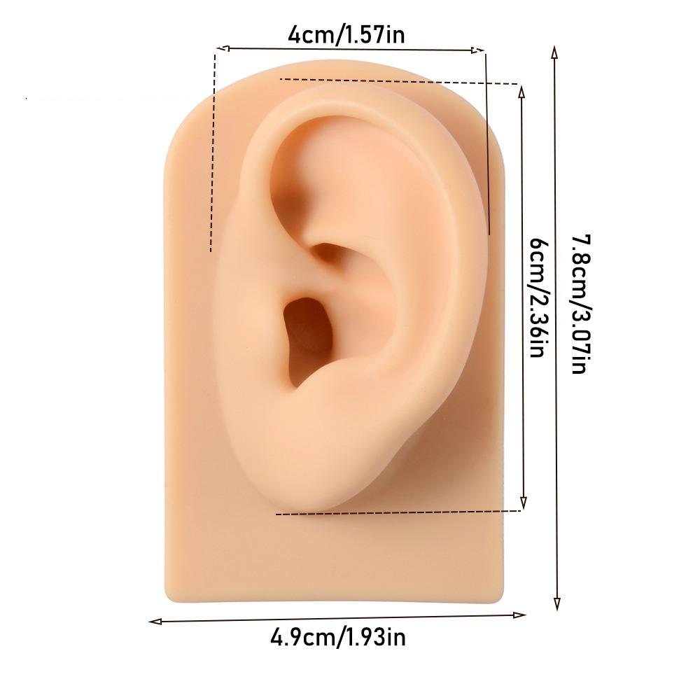 Weiches Silikon Ohrmodell Leichter Ohrring-Präsentationsständer Menschliches Ohrmodell Gestell Handwerk DIY